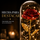 Rosa Eterna Encantada - BellaRose™